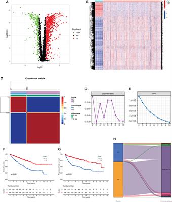 A Novel Prognostic Signature Associated With the Tumor Microenvironment in Kidney Renal Clear Cell Carcinoma